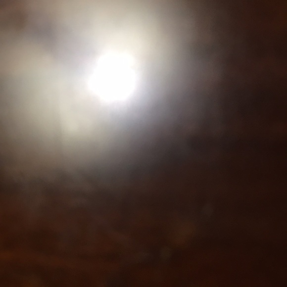 Meet your Posher, Lizbeth - Picture 1 of 1